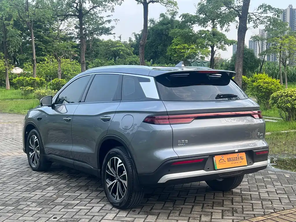 BYD Pro New Energy 2025 — фото 16