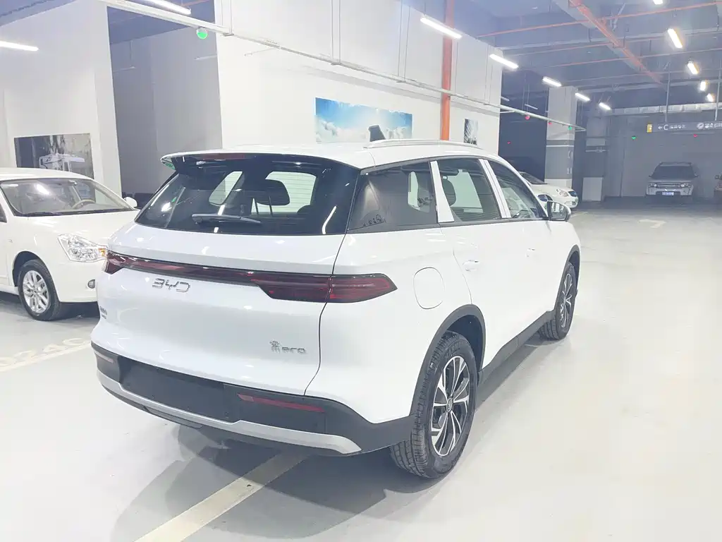 BYD Pro New Energy 2025 — фото 10