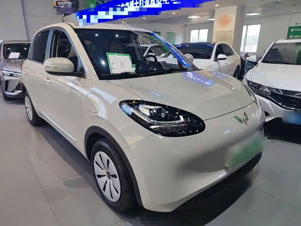 Wuling Bingo 2024