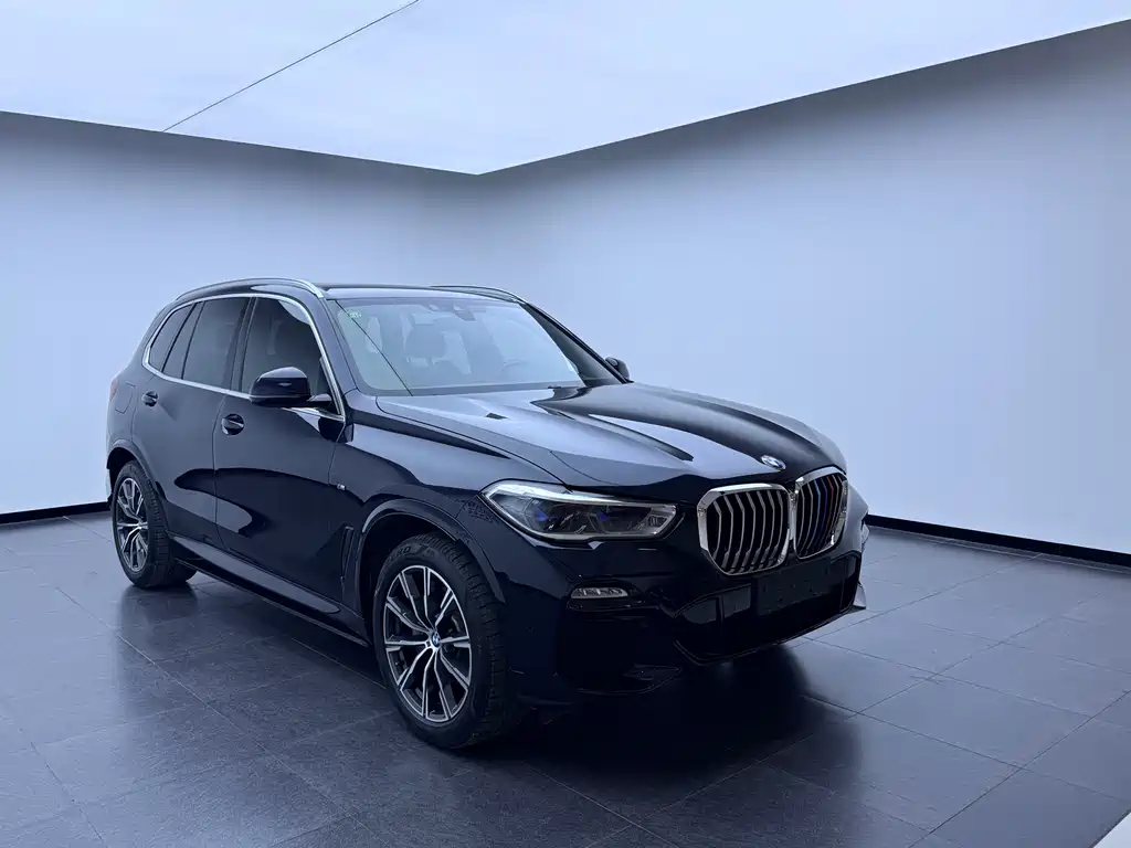 BMW X5 2019 — фото 6