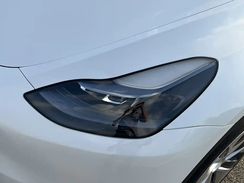 Tesla Model Y 2023 — фото 11