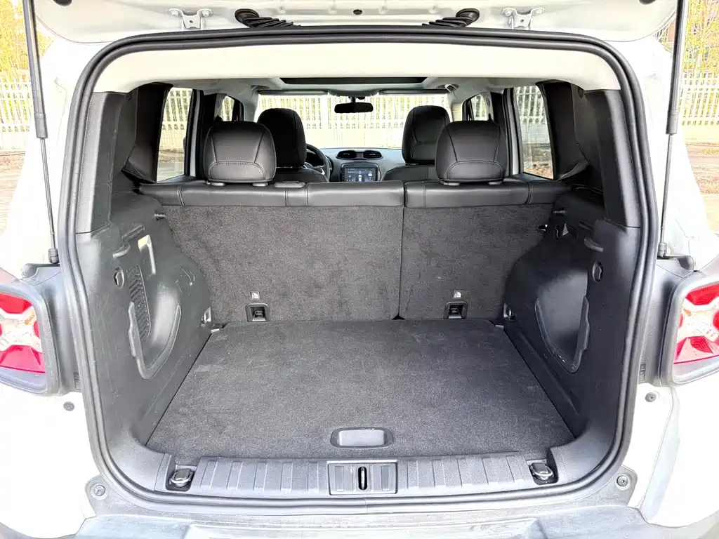 Jeep Renegade 2021 — фото 13