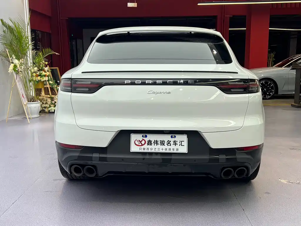 Porsche Cayenne 2021 — фото 16