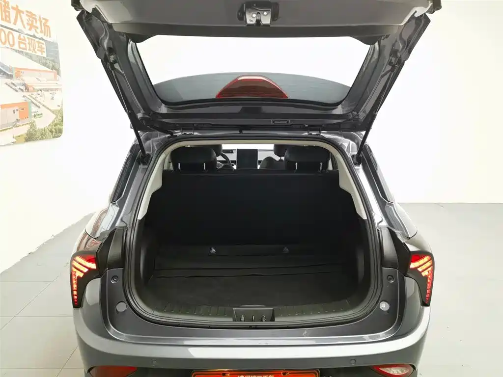 Neta V 2022