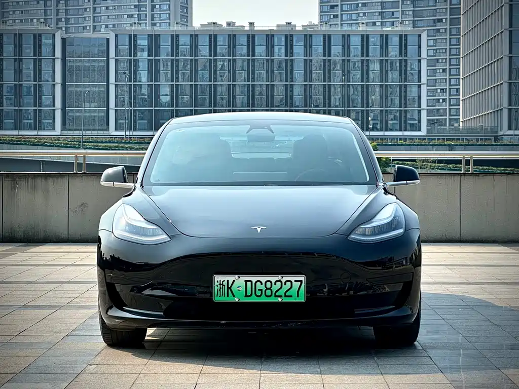 Tesla Model 3 2021 — фото 2