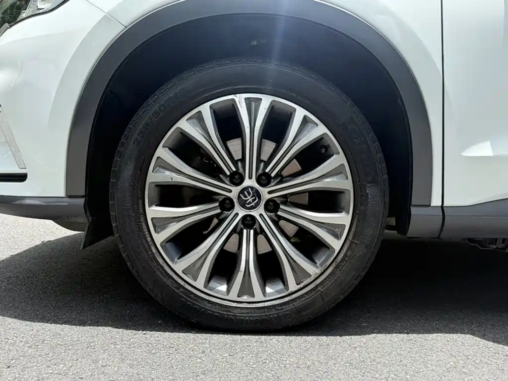 BYD Pro New Energy 2019 — фото 25