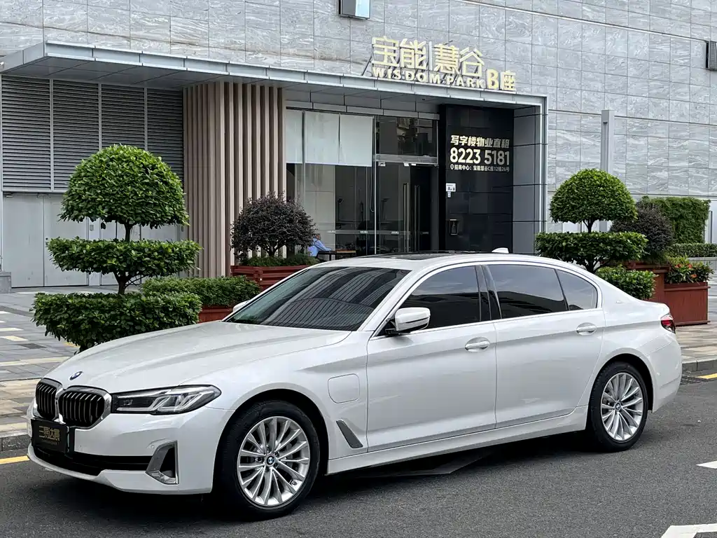 BMW 5 Series New Energy 2021