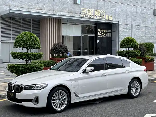 BMW 5 Series New Energy 2021