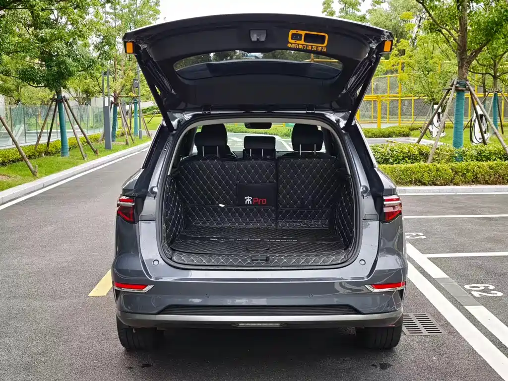 BYD Pro New Energy 2019