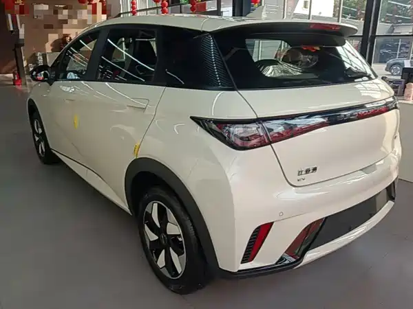 BYD Dolphin 2026