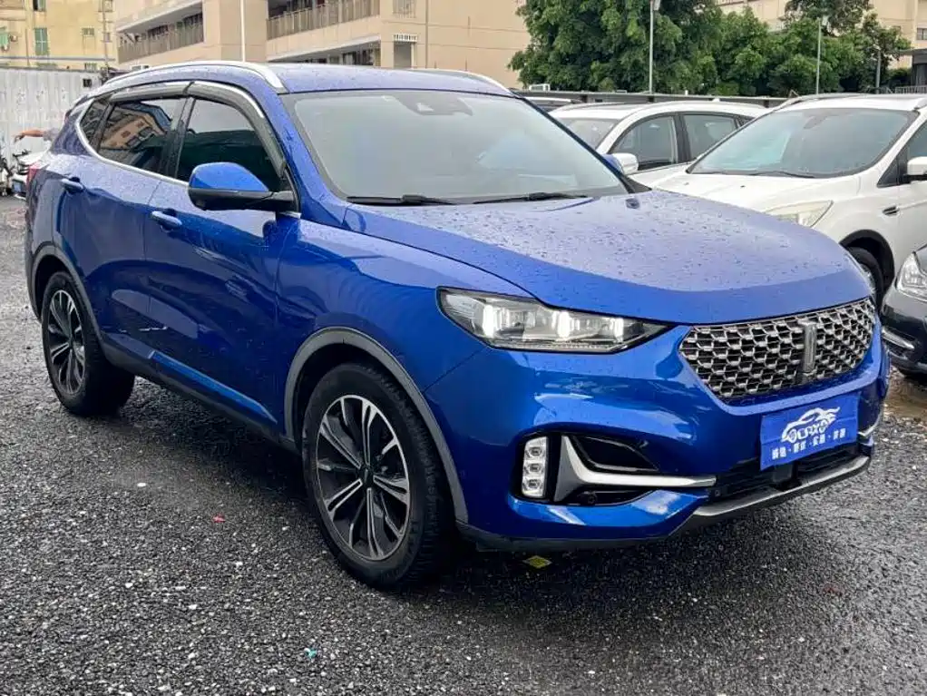 Wey VV6 2021