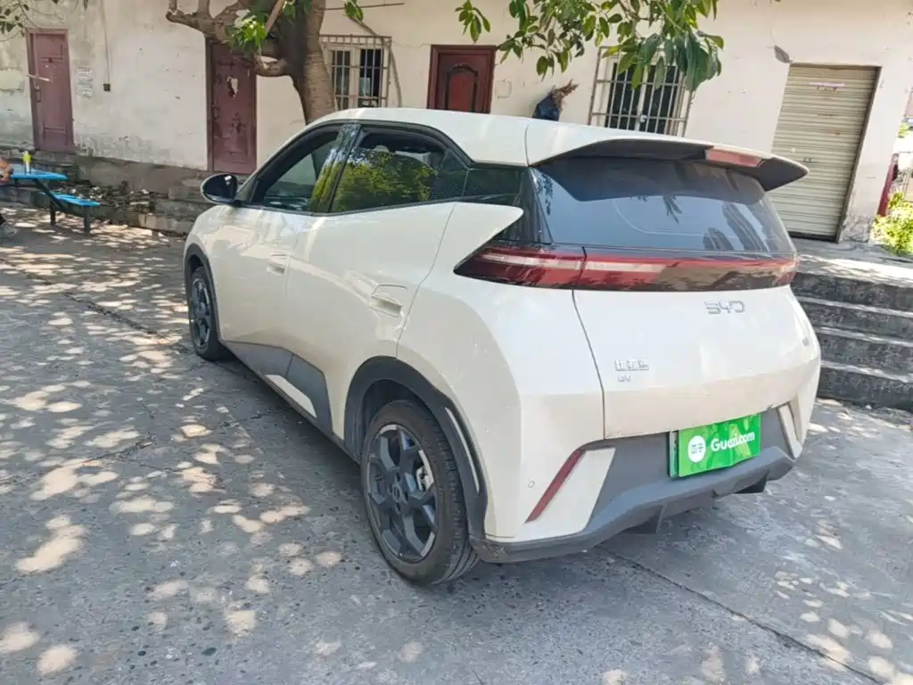 BYD Seagull 2024