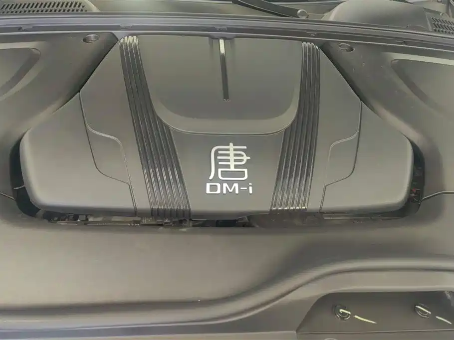 BYD Tang New Energy 2025 — фото 10