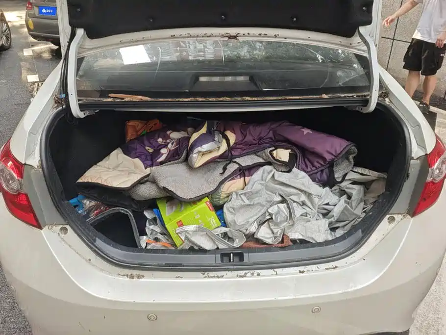Toyota Levin 2016