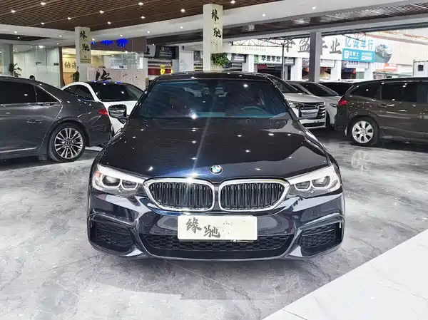 BMW 5 Series 2019