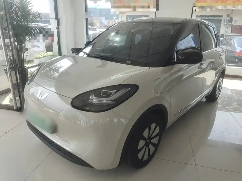 Wuling Bingo 2024