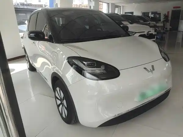 Wuling Bingo 2024