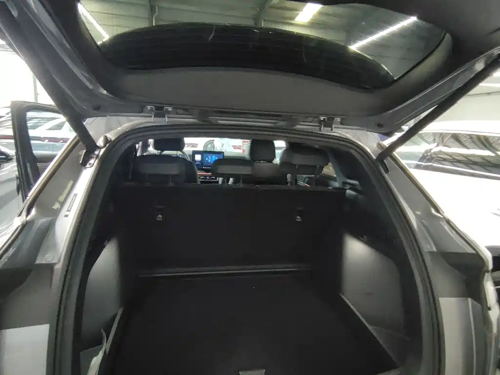 BYD L DM-i 2025 — фото 21