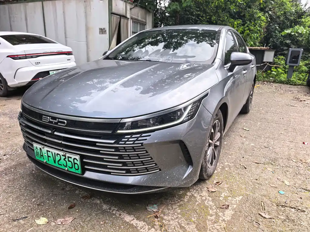 BYD Destroyer 05 2024
