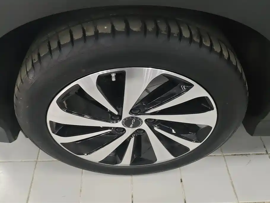 BYD PLUS New Energy 2023 — фото 6