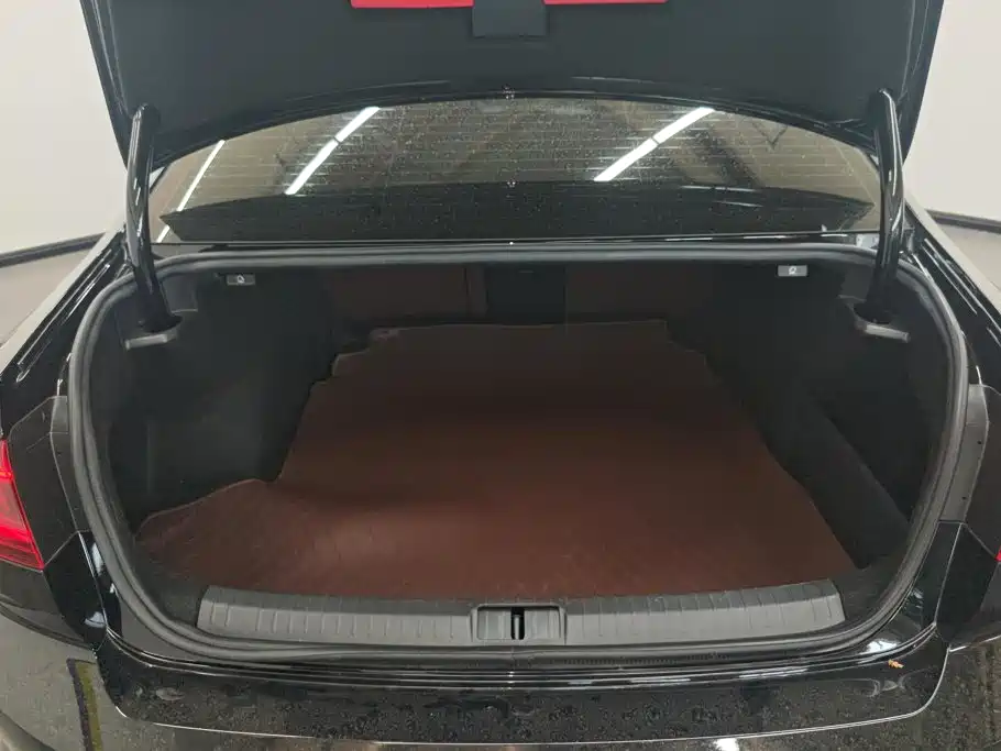 Volkswagen Magotan 2024