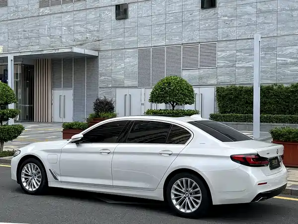 BMW 5 Series New Energy 2021