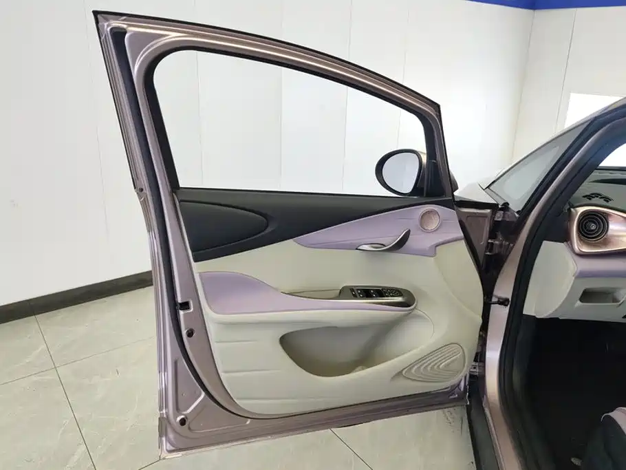 BYD Dolphin 2022