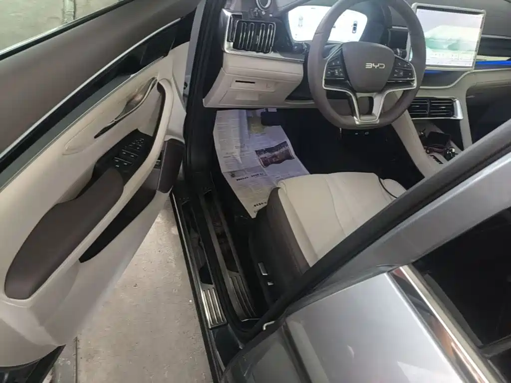 BYD PLUS New Energy 2025 — фото 16