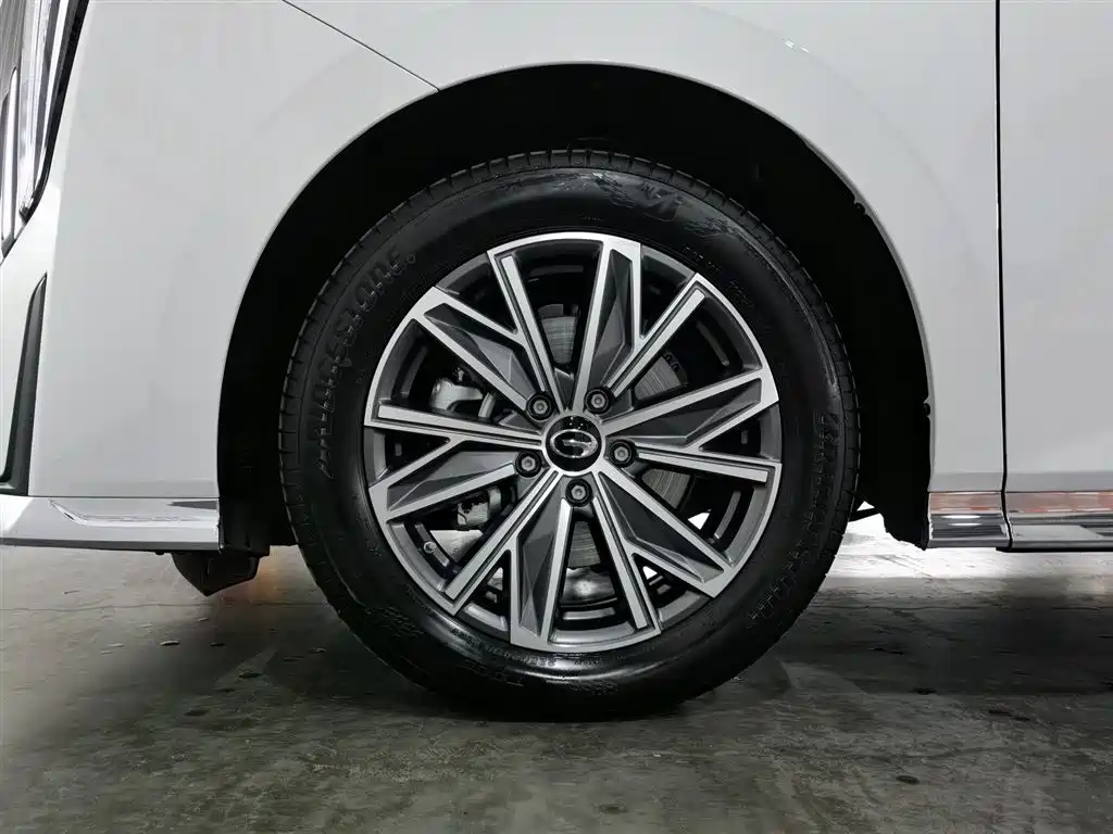 GAC Motor Trumpchi M8 2025 — фото 17