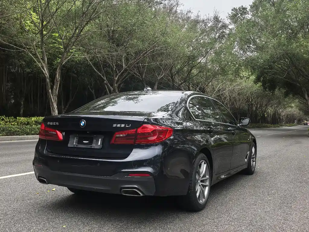 BMW 5 Series 2020