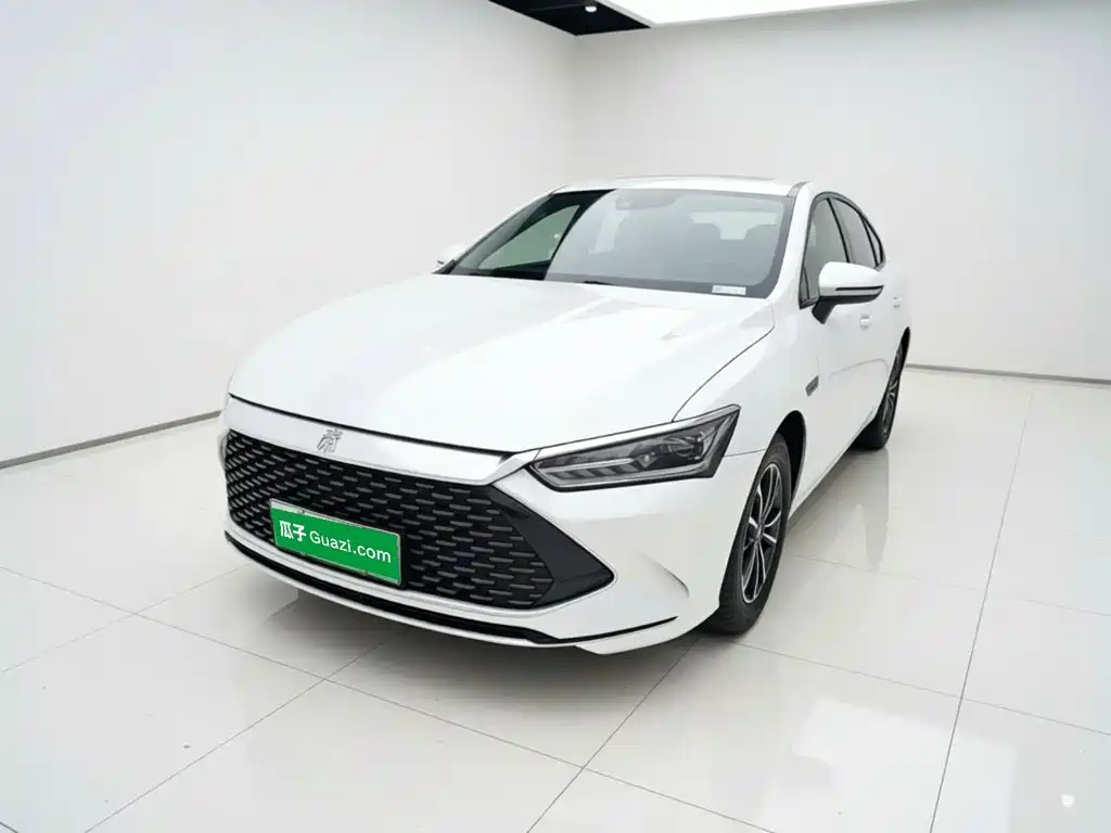 BYD Qin PLUS 2023 — фото 2