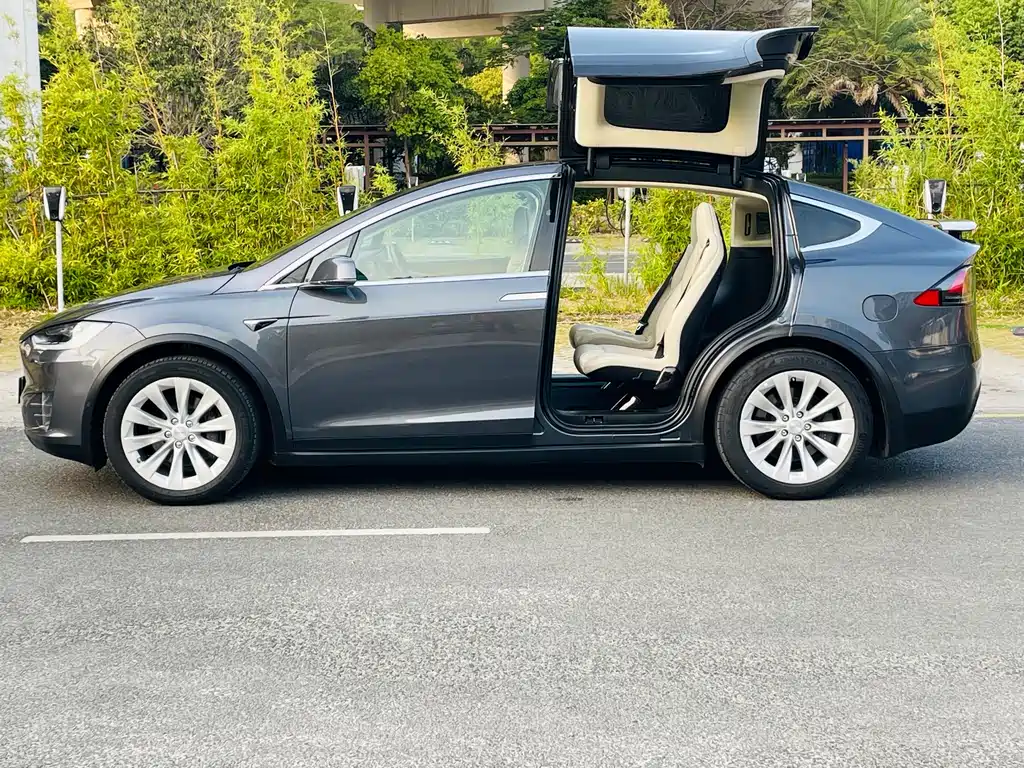 Tesla Model X 2019 — фото 9