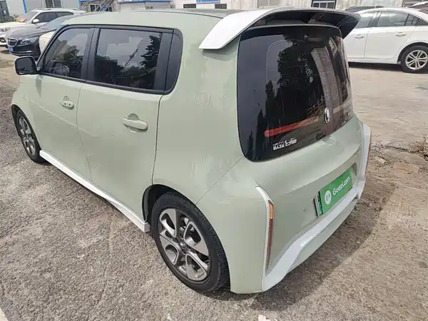 Ora White Cat 2022