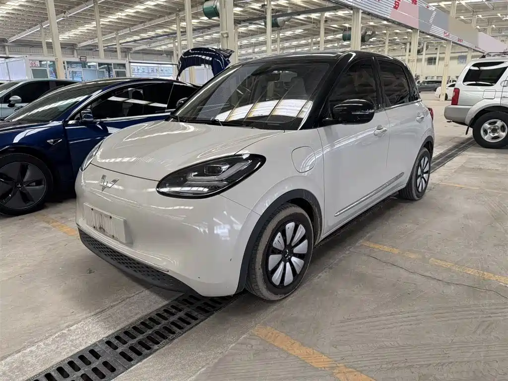 Wuling Bingo 2023
