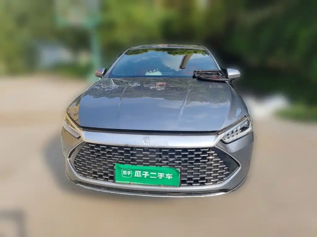 BYD Qin PLUS 2024