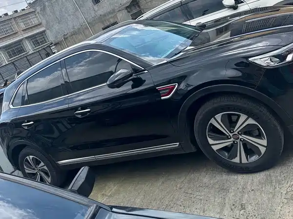 Hongqi HS5 2019