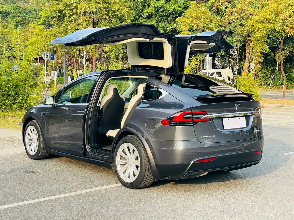 Tesla Model X 2019 — фото 8