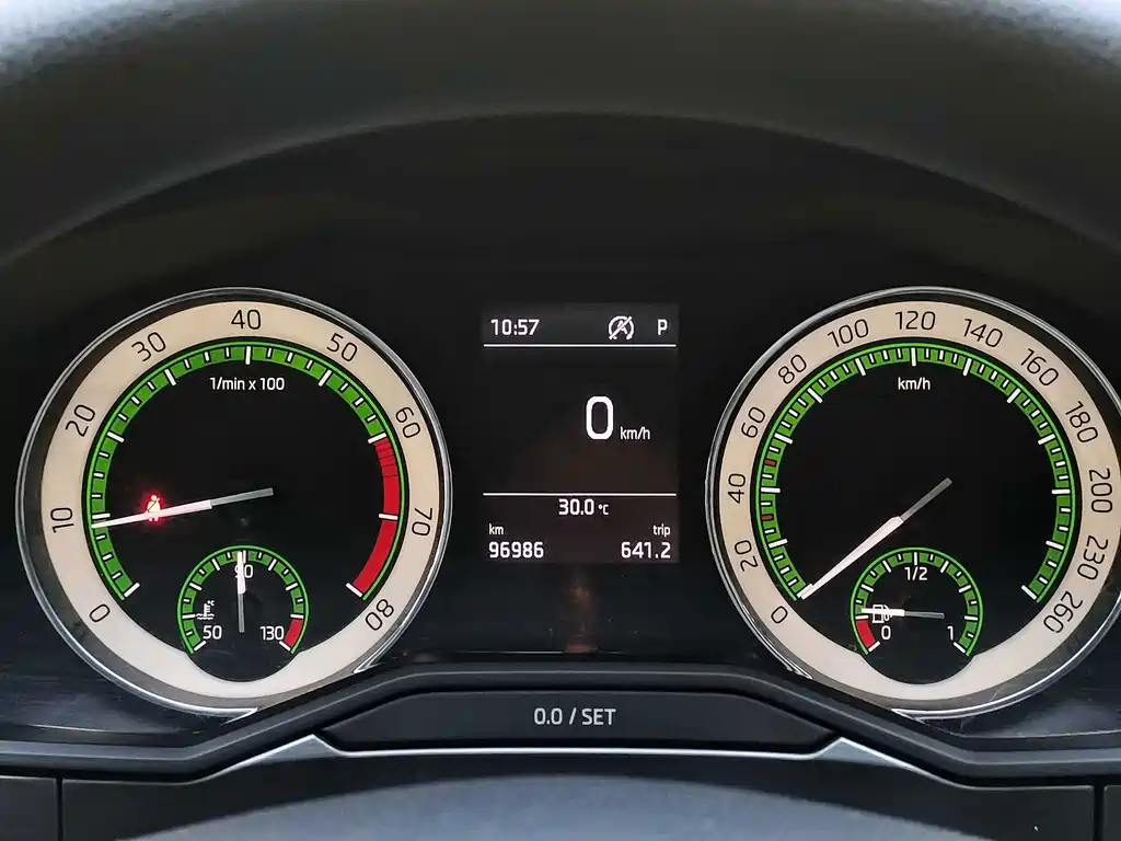 Skoda Speedy 2017 — фото 18