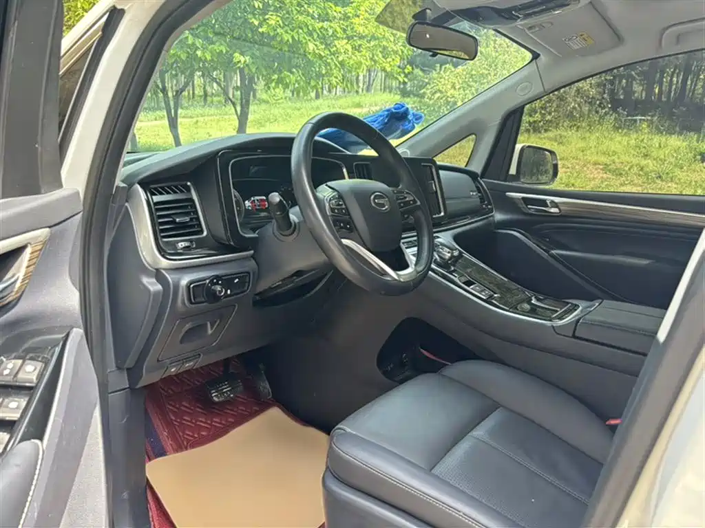 GAC Motor Trumpchi M8 2024 — фото 19
