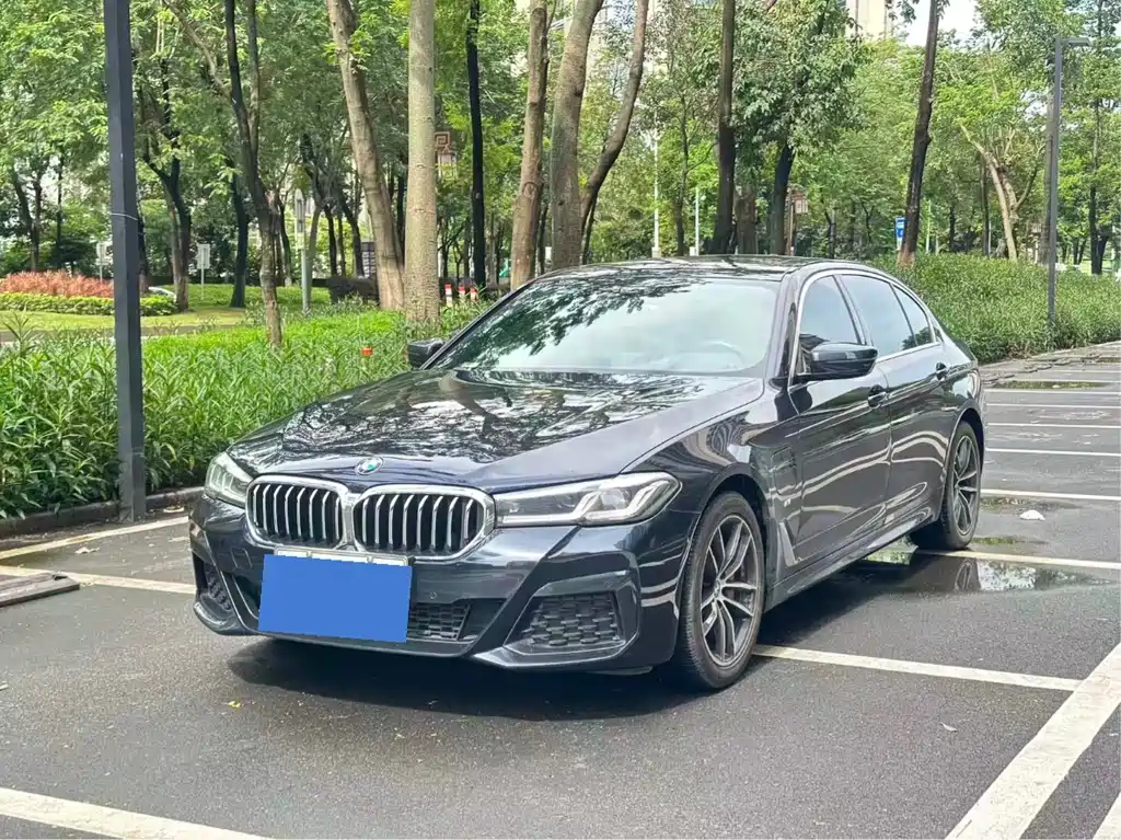 BMW 5 Series New Energy 2020 — фото 11