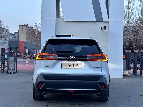 Toyota Wildlander 2021