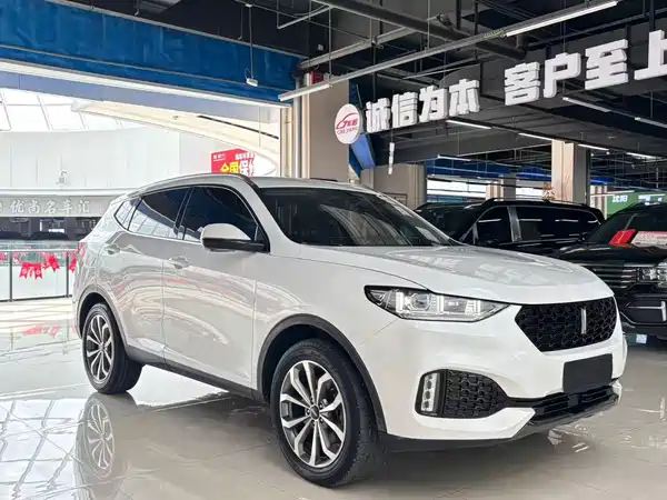 Wey VV6 2019