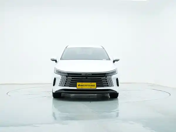 BYD Destroyer 05 2024
