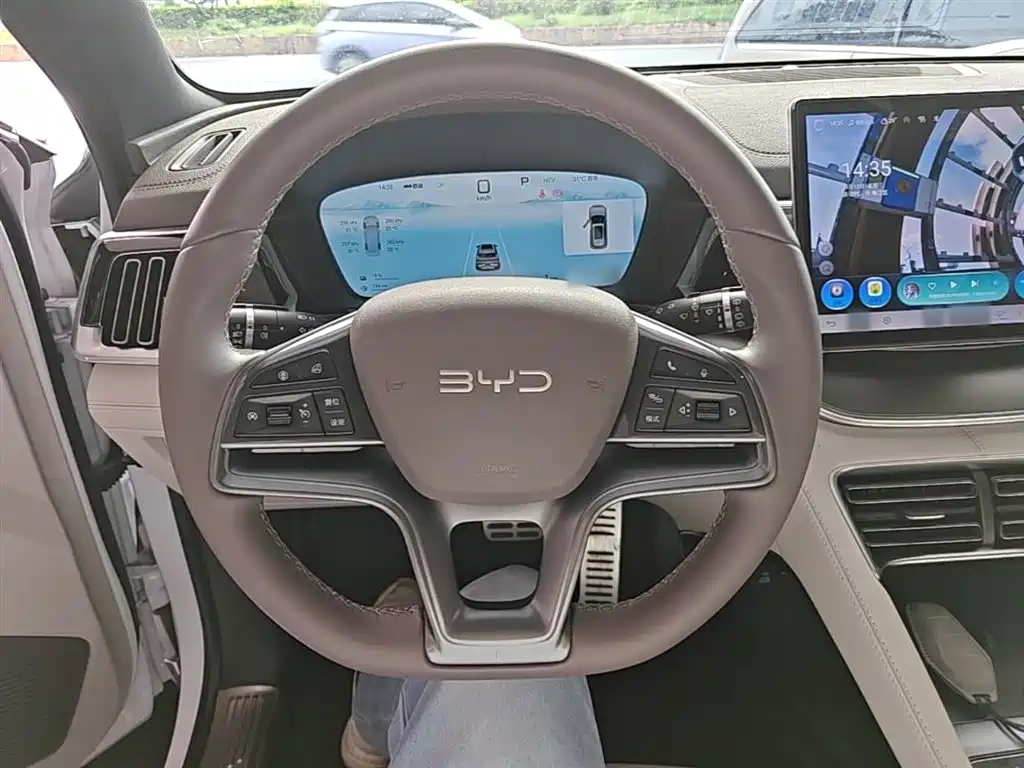 BYD PLUS New Energy 2025 — фото 11