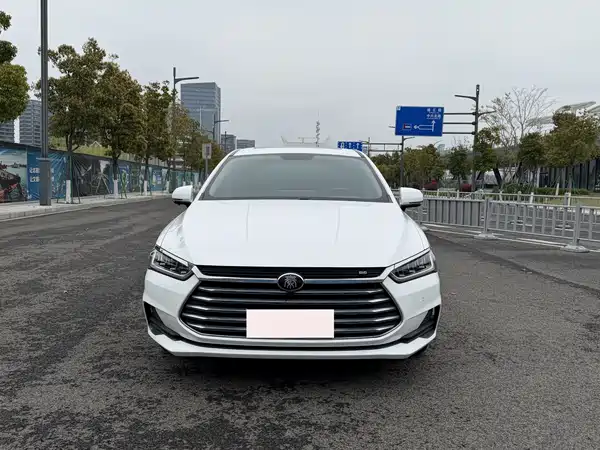 BYD Qin Pro 2019