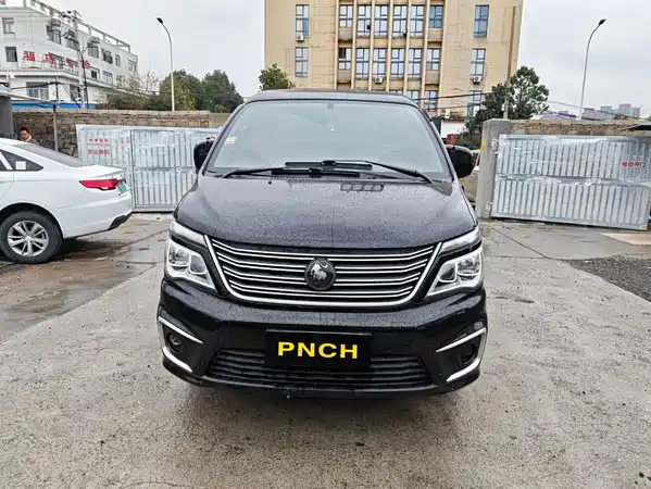 Dongfeng Lingzhi 2022