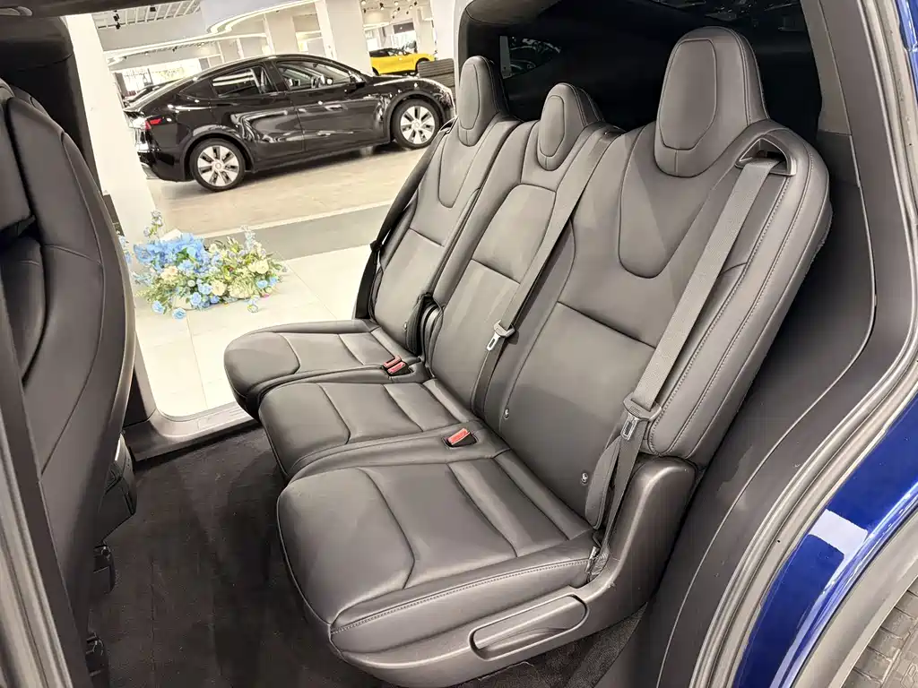Tesla Model X 2018 — фото 8