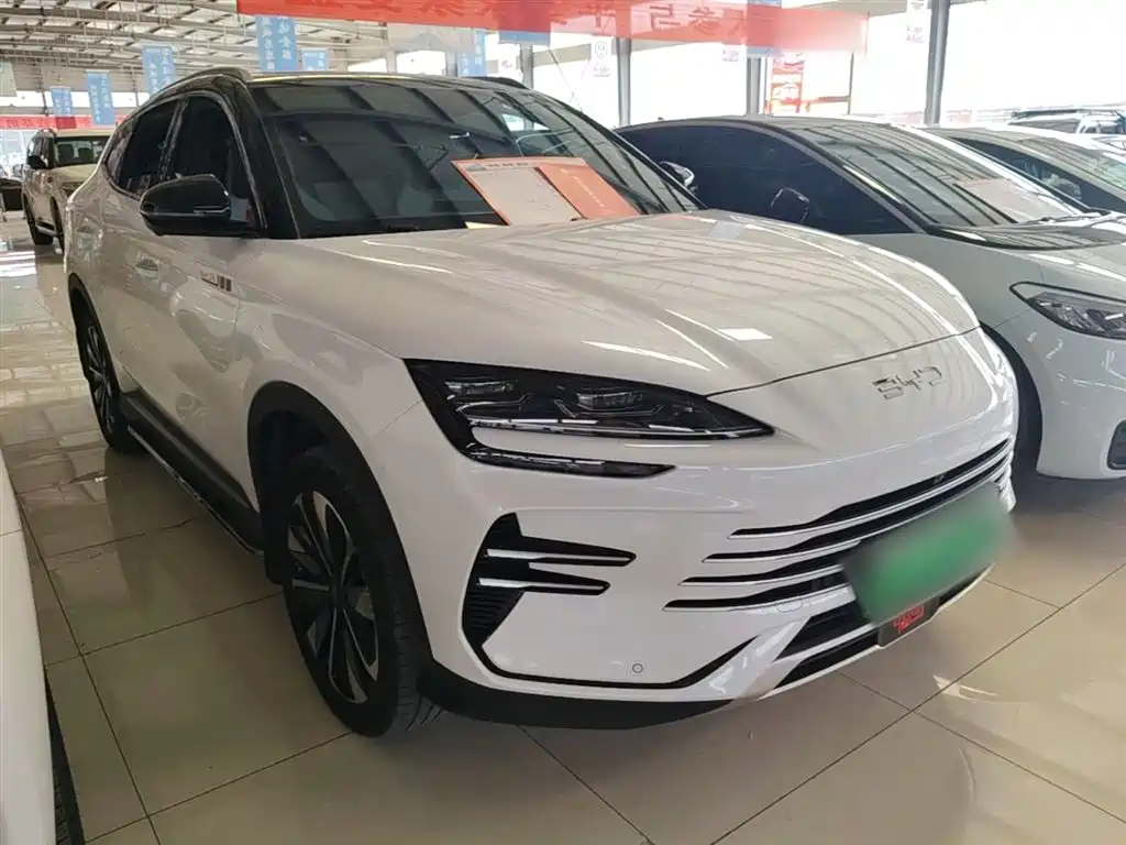 BYD PLUS New Energy 2024 — фото 4