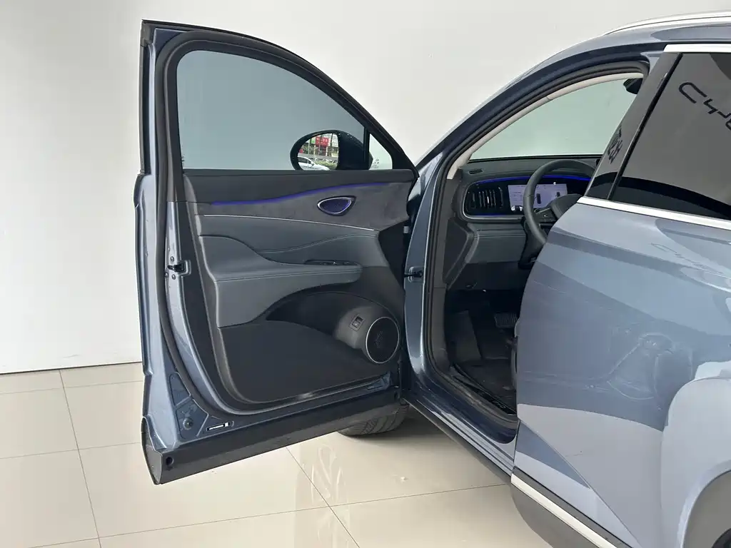 BYD Sealion 07 DM-i 2025 — фото 14