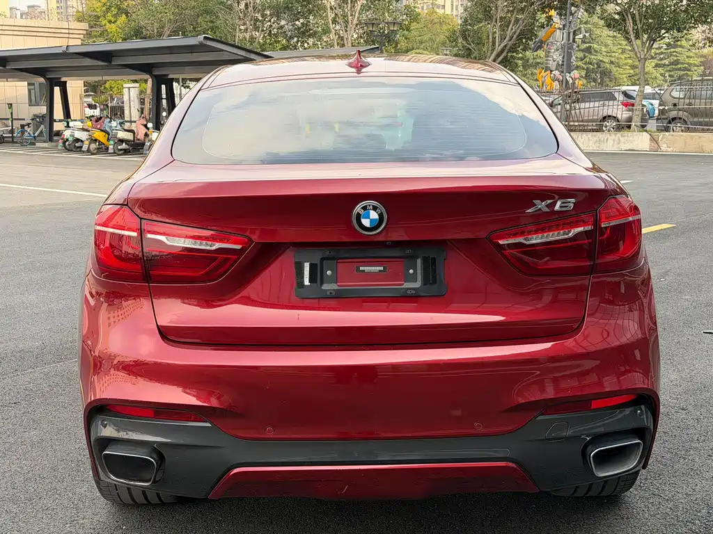 BMW X6 2019 — фото 14